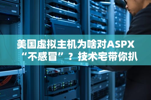 美国虚拟主机为啥对ASPX“不感冒”？技术宅带你扒一扒背后的真相！