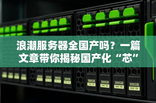 浪潮服务器全国产吗？一篇文章带你揭秘国产化“芯”路历程！