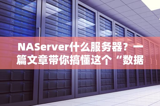 NAServer什么服务器？一篇文章带你搞懂这个“数据大管家”的硬核实力！