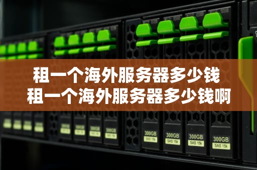 租一个海外服务器多少钱 租一个海外服务器多少钱啊