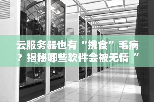 云服务器也有“挑食”毛病？揭秘哪些软件会被无情“拉黑”