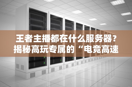 王者主播都在什么服务器？揭秘高玩专属的“电竞高速公路”！