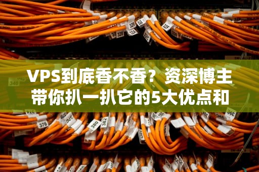 VPS到底香不香？资深博主带你扒一扒它的5大优点和3个致命缺点！