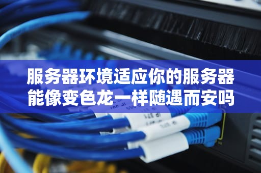 服务器环境适应你的服务器能像变色龙一样随遇而安吗？