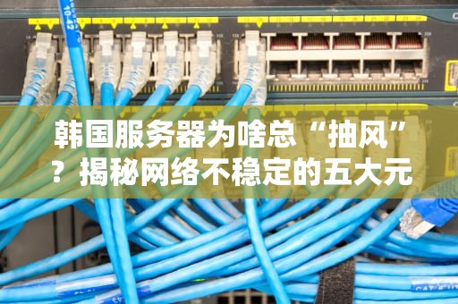 韩国服务器为啥总“抽风”？揭秘网络不稳定的五大元凶！