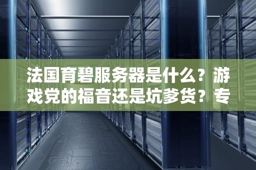 法国育碧服务器是什么？游戏党的福音还是坑爹货？专业测评+避坑指南！