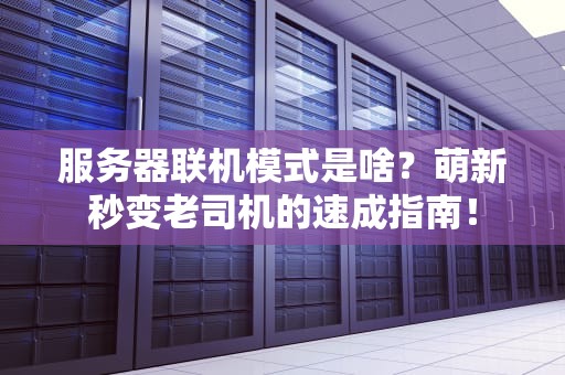 服务器联机模式是啥？萌新秒变老司机的速成指南！