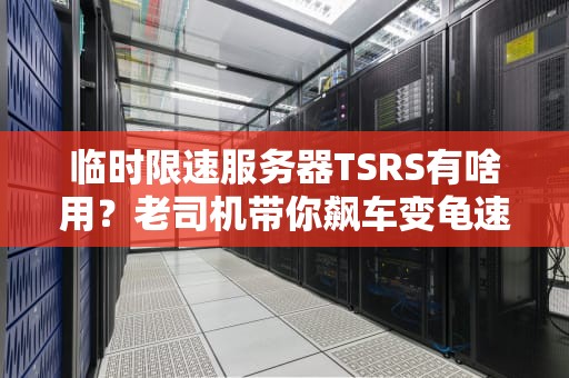 临时限速服务器TSRS有啥用？老司机带你飙车变龟速的科技玄学！