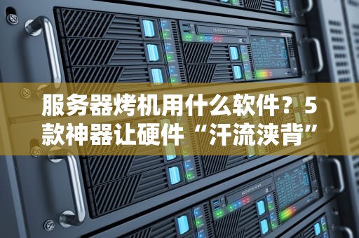服务器烤机用什么软件？5款神器让硬件“汗流浃背”还稳如老狗！