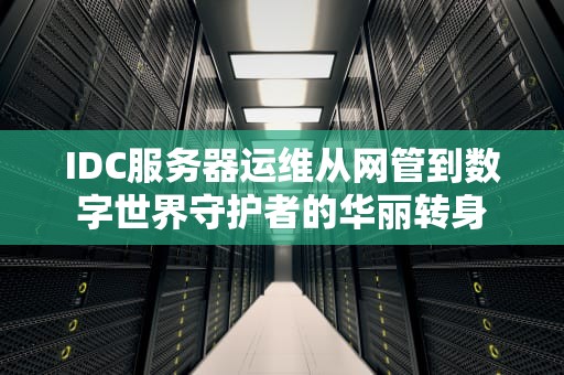 IDC服务器运维从网管到数字世界守护者的华丽转身