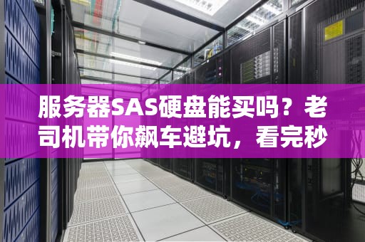服务器SAS硬盘能买吗？老司机带你飙车避坑，看完秒变懂王！
