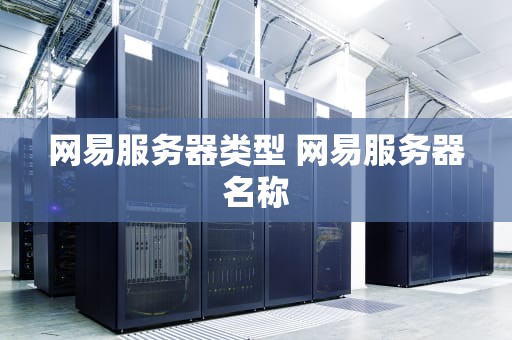 网易服务器类型 网易服务器名称