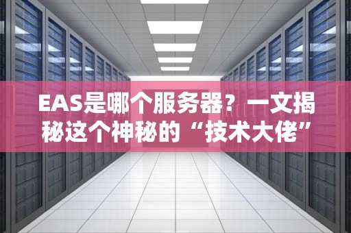 EAS是哪个服务器？一文揭秘这个神秘的“技术大佬”
