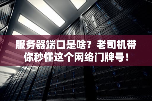 服务器端口是啥？老司机带你秒懂这个网络门牌号！