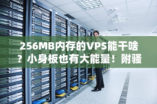 256MB内存的VPS能干啥？小身板也有大能量！附骚操作实测