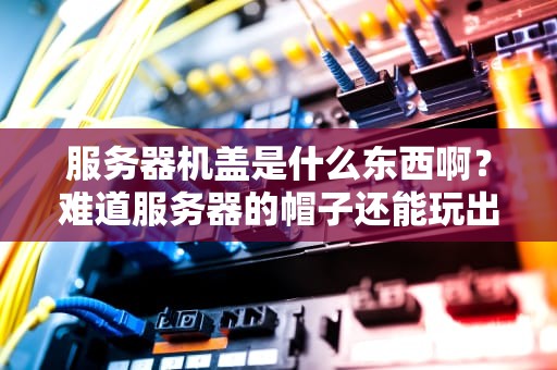 服务器机盖是什么东西啊？难道服务器的帽子还能玩出花来？
