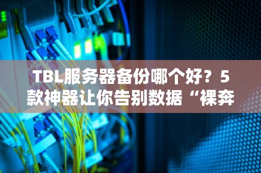 TBL服务器备份哪个好？5款神器让你告别数据“裸奔”！（附真实测评）