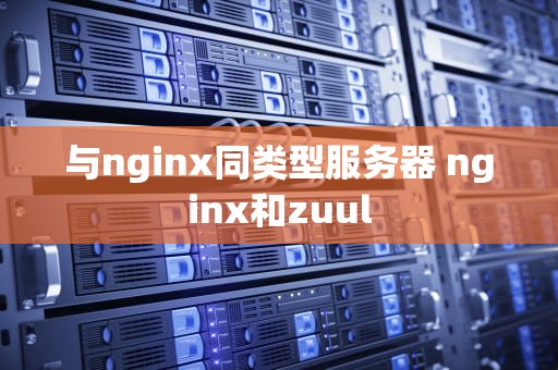 与nginx同类型服务器 nginx和zuul