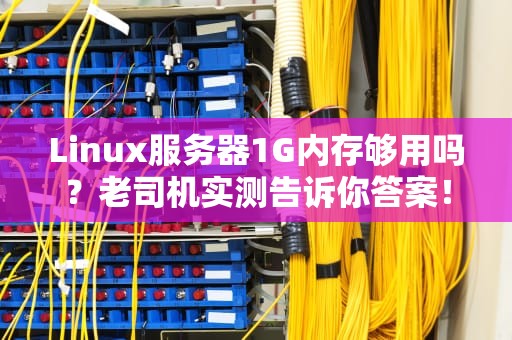 Linux服务器1G内存够用吗？老司机实测告诉你答案！