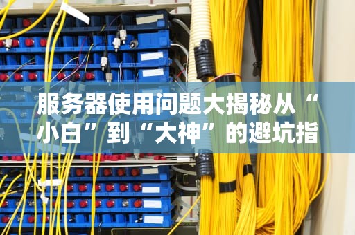 服务器使用问题大揭秘从“小白”到“大神”的避坑指南