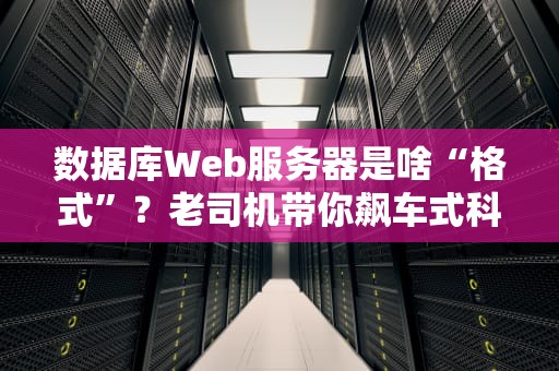 数据库Web服务器是啥“格式”？老司机带你飙车式科普！