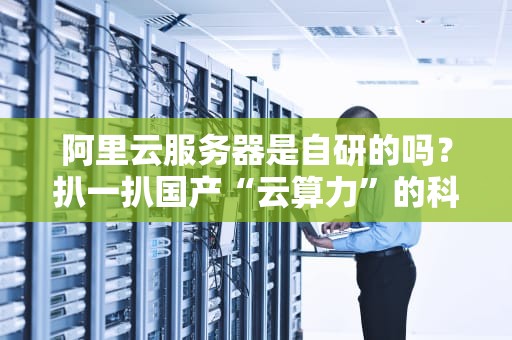阿里云服务器是自研的吗？扒一扒国产“云算力”的科技底裤！