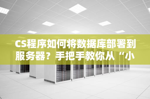 CS程序如何将数据库部署到服务器？手把手教你从“小白”变“老司机”！（附避坑指南）