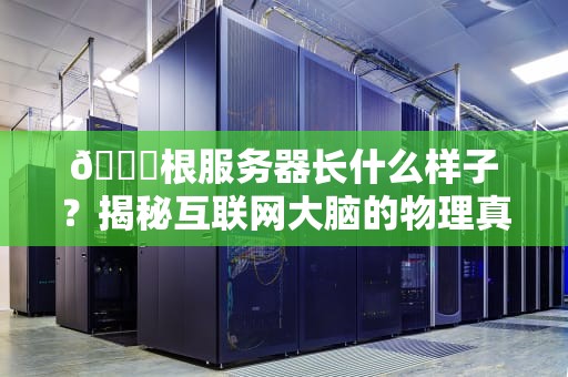 🌍根服务器长什么样子？揭秘互联网大脑的物理真身！⚡