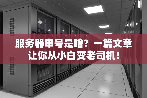 服务器串号是啥？一篇文章让你从小白变老司机！
