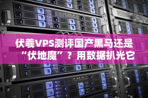 伏羲VPS测评国产黑马还是“伏地魔”？用数据扒光它的底裤！