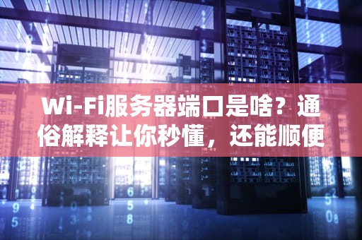 Wi-Fi服务器端口是啥？通俗解释让你秒懂，还能顺便装个X！