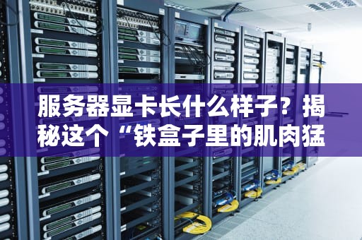 服务器显卡长什么样子？揭秘这个“铁盒子里的肌肉猛男”