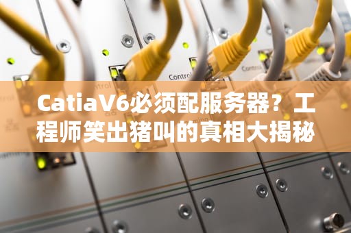 CatiaV6必须配服务器？工程师笑出猪叫的真相大揭秘！