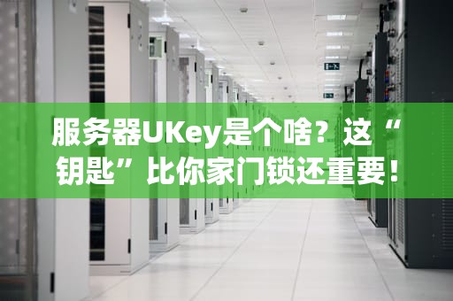 服务器UKey是个啥？这“钥匙”比你家门锁还重要！