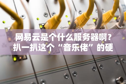 网易云是个什么服务器啊？扒一扒这个“音乐佬”的硬核真面目！
