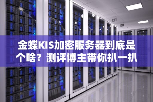 金蝶KIS加密服务器到底是个啥？测评博主带你扒一扒它的“内裤”！（附避坑指南）