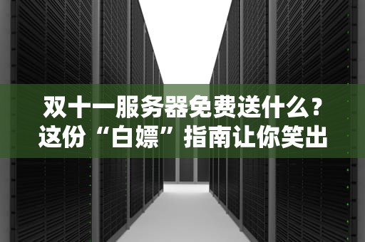 双十一服务器免费送什么？这份“白嫖”指南让你笑出腹肌！