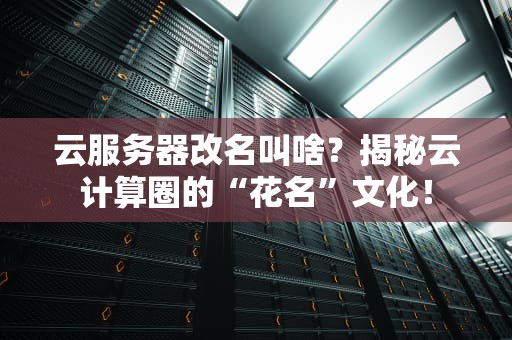 云服务器改名叫啥？揭秘云计算圈的“花名”文化！