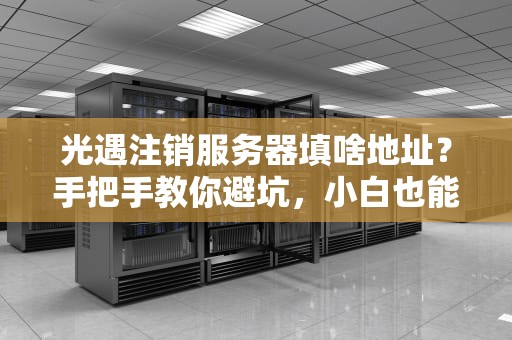 光遇注销服务器填啥地址？手把手教你避坑，小白也能秒懂！