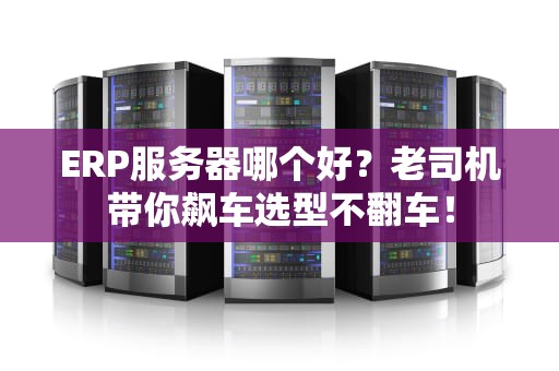 ERP服务器哪个好？老司机带你飙车选型不翻车！