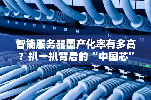 智能服务器国产化率有多高？扒一扒背后的“中国芯”真相！
