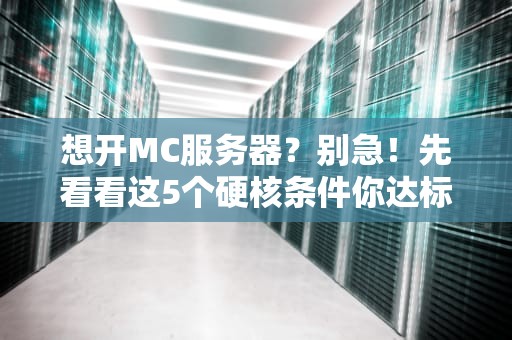 想开MC服务器？别急！先看看这5个硬核条件你达标没！