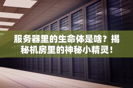 服务器里的生命体是啥？揭秘机房里的神秘小精灵！