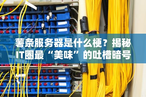薯条服务器是什么梗？揭秘IT圈最“美味”的吐槽暗号！