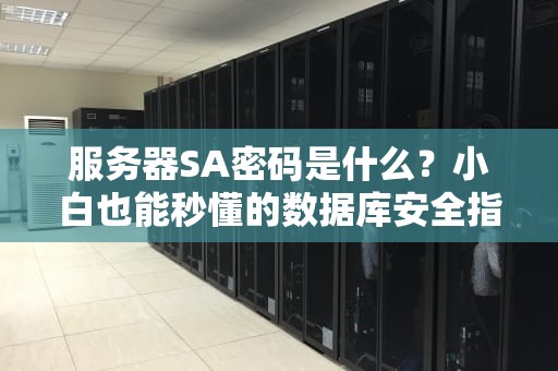 服务器SA密码是什么？小白也能秒懂的数据库安全指南！