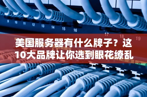 美国服务器有什么牌子？这10大品牌让你选到眼花缭乱！