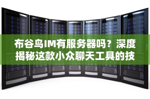 布谷鸟IM有服务器吗？深度揭秘这款小众聊天工具的技术内幕！