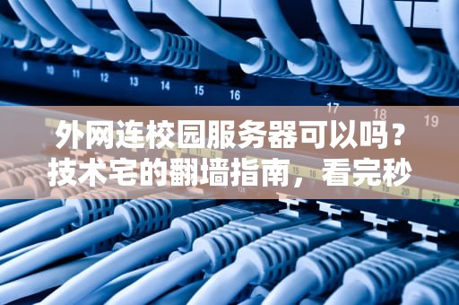 外网连校园服务器可以吗？技术宅的翻墙指南，看完秒懂！