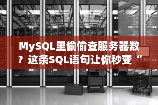 MySQL里偷偷查服务器数？这条SQL语句让你秒变“数据库侦探”！
