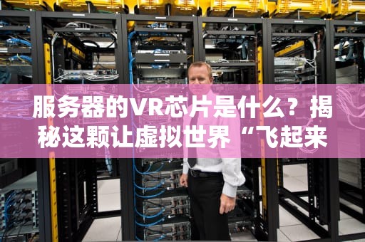 服务器的VR芯片是什么？揭秘这颗让虚拟世界“飞起来”的神奇小芯片！